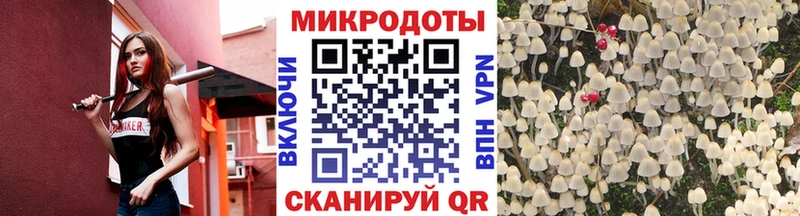 Галлюциногенные грибы прущие грибы Биробиджан